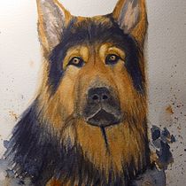 My project for course: Expressive Animal Portraits in Watercolor. Un proyecto de Ilustración tradicional, Pintura a la acuarela, Dibujo realista e Ilustración naturalista				 de sara_sorgarde - 03.01.2024