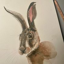 Mój projekt z kursu: Eksperymentalne techniki akwarelowe dla początkujących. Un progetto di Illustrazione tradizionale, Belle arti, Pittura ad acquerello e Illustrazione naturalistica di ald84 - 04.01.2024