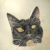 Mi proyecto del curso: Retratos de Mascotas en Lápices de Colores. Traditional illustration, and Naturalistic Illustration project by maryonamm - 01.05.2024
