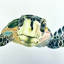 My project for course: Expressive Animal Portraits in Watercolor. Un proyecto de Ilustración tradicional, Pintura a la acuarela, Dibujo realista e Ilustración naturalista				 de olgadottei - 14.06.2023