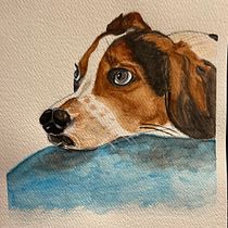 My Shelby ❤️. Un proyecto de Ilustración tradicional, Pintura a la acuarela, Dibujo realista e Ilustración naturalista				 de csxbx4hx8t - 06.01.2024