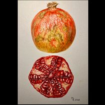 Mein Abschlussprojekt für den Kurs: Botanisches Aquarell: Illustriere Kunst und Wissenschaft. Un progetto di Illustrazione tradizionale, Belle arti, Pittura, Disegno, Pittura ad acquerello e Illustrazione botanica di malte_ross - 06.01.2024