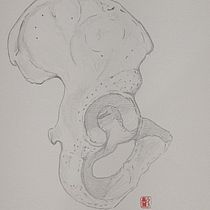 Meu projeto do curso: Desenho anatômico com lápis grafite para iniciantes. Fine Arts, Pencil Drawing, Drawing, Realistic Drawing, and Figure Drawing project by Luiz Takase - 01.07.2024