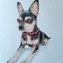 Mi proyecto del curso: Retratos de Mascotas en Lápices de Colores  . Traditional illustration, and Naturalistic Illustration project by Lucila Obholz - 01.05.2024