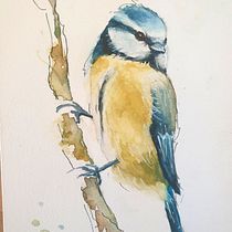 Mijn project van de cursus: Vogels illustreren met artistieke aquarel. Traditional illustration, Watercolor Painting, Realistic Drawing, and Naturalistic Illustration project by Anneke Strootman - 01.09.2024