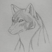 Mi proyecto del curso: Red wolf en acuarelas. Traditional illustration, Watercolor Painting, Realistic Drawing, and Naturalistic Illustration project by Yennith Gabriela Serrato Rivera - 01.08.2024