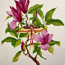 Mon projet du cours : Illustration naturaliste à l'aquarelle et à la gouache. Fine Arts, Painting, Watercolor Painting, Botanical Illustration, Naturalistic Illustration, and Gouache Painting project by Maëlyne Rmnd - 01.09.2024