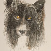 My project for course: Pet Portraits in Colored Pencils. Traditional illustration, and Naturalistic Illustration project by carolinebegg - 01.09.2024