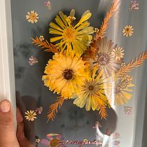 Mi proyecto del curso: Técnicas básicas de prensado botánico. Un proyecto de Artesanía, Bellas Artes, Collage, DIY, Diseño floral y vegetal de Constanza Rodriguez - 09.01.2024