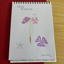 Mi proyecto del curso: Naturaleza ilustrada: una exploración creativa. Traditional illustration, Painting, Drawing, Watercolor Painting, Ink Illustration, and Naturalistic Illustration project by Angels Castell - 01.10.2024