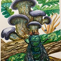 My project for course: Naturalistic Illustration in Watercolor and Gouache. Fine Arts, Painting, Watercolor Painting, Botanical Illustration, Naturalistic Illustration, and Gouache Painting project by Sabrina Albert - 01.11.2024