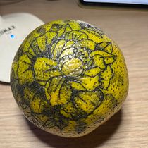 Mi primera vez en una naranja . Architecture project by j_acostacanaval - 01.05.2024