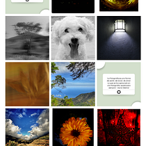 Mi proyecto del curso: Diseño de feed de Instagram con Canva. Design gráfico, Marketing, Redes sociais, Instagram, e Design digital projeto de Elika Rojas Mora - 11.01.2024