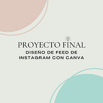 Mi proyecto del curso: Diseño de feed de Instagram con Canva. Design gráfico, Marketing, Redes sociais, Instagram, e Design digital projeto de Dafne Avila Diaz - 12.01.2024