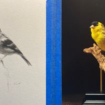 My project for course: Classical Oil Painting for Naturalist Bird Portraiture. Fine Arts, Painting, Oil Painting, and Naturalistic Illustration project by jescatpri - 01.12.2024
