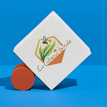 La Colmena Dorada🐝🧼 y FreeSlidesDesign🖥. Br, ing, Identit, Graphic Design, Web Design, and Social Media Design project by Dylan Gerardo Mejía Bonilla - 01.09.2024