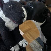 June and Little June!. Fiber Arts, DIY, Knitting, and Textile Design project by Hillary Kurland - 01.13.2024