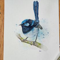 My project for course: Naturalist Bird Illustration with Watercolors. Ilustração tradicional, Pintura em aquarela, Desenho realista e Ilustração naturalista projeto de chrissattik - 12.01.2024