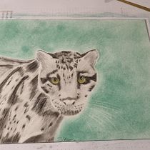 Mein Abschlussprojekt für den Kurs: Realistische Tierbilder in Graphitstift. Un projet de Beaux Arts, Dessin au cra, on, Dessin, Dessin réaliste et Illustration naturaliste de sabrina.dragons - 14.01.2024