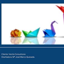 Mi proyecto del curso: Canva de 0 a 100: crea diseños de forma profesional. Br, ing, Identit, Graphic Design, Web Design, and Social Media Design project by Mjose Marco Quesada - 01.14.2024
