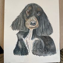 My project for course: Expressive Animal Portraits in Watercolor. Un proyecto de Ilustración tradicional, Pintura a la acuarela, Dibujo realista e Ilustración naturalista				 de Grace O - 21.01.2024