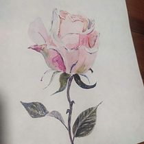 Mi proyecto del curso: Ilustración botánica con acuarela. Traditional illustration, Fine Arts, Painting, Drawing, Watercolor Painting, and Botanical Illustration project by Regina Raim - 01.15.2024