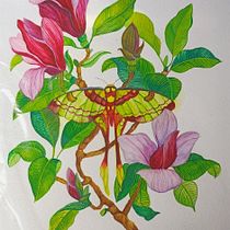 My project for course: Naturalistic Illustration in Watercolor and Gouache. Fine Arts, Painting, Watercolor Painting, Botanical Illustration, Naturalistic Illustration, and Gouache Painting project by Talwinder Anant - 01.15.2024