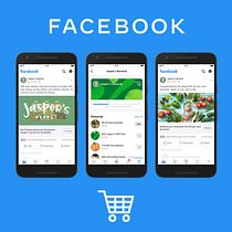 Mi proyecto del curso: Google Ads y Facebook Ads desde cero. Marketing, Redes sociais, Marketing digital, Mobile Marketing, Instagram, Marketing para Facebook, Marketing para Instagram, Growth Marketing, e SEM projeto de Gabriel Silva - 15.01.2024