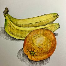 My project for course: Botanical Illustration: From Notebook to Print Ein Projekt aus dem Bereich Traditionelle Illustration, Skizzenentwurf, Zeichnung, Botanische Illustration, Sketchbook und Illustration mit Tinte von Sue - 15.01.2024
