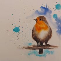 Acquerello artistico per illustrazione di animali: gli uccelli - a robin bird. Traditional illustration, Watercolor Painting, Realistic Drawing, and Naturalistic Illustration project by Fabrizio Ranuzzi - 01.15.2024
