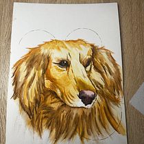 Mi proyecto del curso: Acuarela naturalista con expresión y personalidad. Traditional illustration, Watercolor Painting, and Naturalistic Illustration project by nicolasparra1204 - 01.16.2024