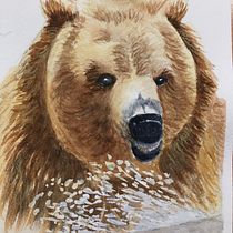 My project for course: Experimental Watercolor Techniques for Beginners. Un progetto di Illustrazione tradizionale, Pittura ad acquerello e Illustrazione naturalistica di Jan Kent - 17.01.2024