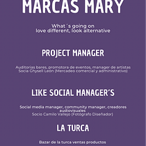 Mi proyecto del curso: Introducción a la gestión de proyectos. Un proyecto de Consultoría creativa, Gestión del diseño y Marketing de Maritzabel Parra Avila - 17.01.2024