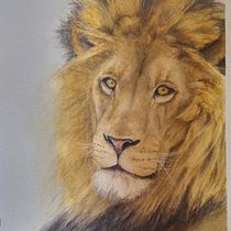 My project for course: Expressive Animal Portraits in Watercolor. Un proyecto de Ilustración tradicional, Pintura a la acuarela, Dibujo realista e Ilustración naturalista				 de Michelle Esterhuizen - 10.01.2024