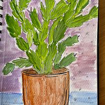 My project for course: Botanical Sketchbooking: A Meditative Approach Ein Projekt aus dem Bereich Traditionelle Illustration, Skizzenentwurf, Zeichnung, Aquarellmalerei, Botanische Illustration und Sketchbook von Melissa Hemhauser - 19.01.2024