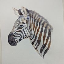 My project for course: Watercolor Illustration: Painting Realistic Wildlife. Un proyecto de Bellas Artes, Pintura, Pintura a la acuarela e Ilustración naturalista				 de sandralenore - 18.01.2024