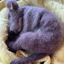 Mein Abschlussprojekt für den Kurs: Realistische Kuscheltiere: Stricke einen Welpen. Fiber Arts, DIY, Knitting, and Textile Design project by Katharina Gloor - 01.20.2024