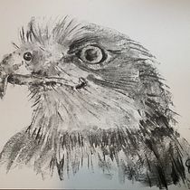 My project for course: Animal Illustration with Charcoal and Ink. Fine Arts, Drawing, Ink Illustration, and Naturalistic Illustration project by steve.attewell - 01.20.2024