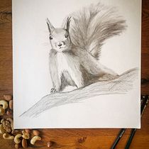 Mein Abschlussprojekt für den Kurs: Realistische Tierporträts mit Bleistift. Traditional illustration, Pencil Drawing, Drawing, and Naturalistic Illustration project by Stefanie Hardick - 01.21.2024