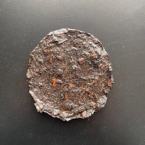 Mi proyecto del curso: Biomateriales: creación de materiales con descartes orgánicos. Un projet de Artisanat , et DIY de Arantxa Ferrer - 21.01.2024