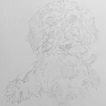 Mi proyecto del curso: Retratos de Mascotas en Lápices de Colores. Traditional illustration, and Naturalistic Illustration project by Pedro Campoverde - 01.22.2024