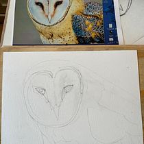 The Wise Old “magical” Owl in Watercolor. Un proyecto de Ilustración tradicional, Pintura a la acuarela, Dibujo realista e Ilustración naturalista				 de Heidi McGuigan - 22.01.2024