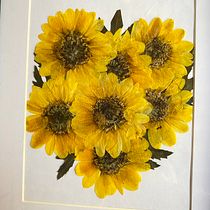Mi proyecto del curso: Técnicas básicas de prensado botánico. Un proyecto de Artesanía, Bellas Artes, Collage, DIY, Diseño floral y vegetal de ana-sanchez-4 - 23.01.2024