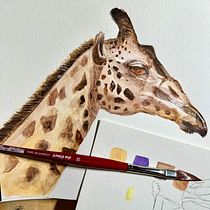 Mon projet du cours : Illustrations réalistes de la vie sauvage à l'aquarelle. Een project van  Beeldende kunst, Schilderij, Aquarelschilderen y Naturalistische illustratie van sophie_thorens - 24.01.2024