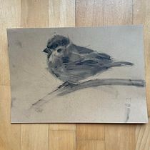 My project for course: Expressive Drawing with Charcoal. Fine Arts, Drawing, Portrait Drawing, and Naturalistic Illustration project by Mila Dorfman - 01.24.2024