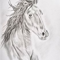 Mein Abschlussprojekt für den Kurs: Realistische Tierbilder in Graphitstift. Un projet de Beaux Arts, Dessin au cra, on, Dessin, Dessin réaliste et Illustration naturaliste de Hetty Meijs - 24.01.2024