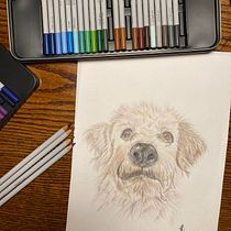 Il mio progetto del corso: Ritratto di animali da compagnia con matite colorate. Traditional illustration, and Naturalistic Illustration project by lorenza_polistena - 01.21.2024