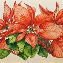 Il mio progetto del corso:  Sketchbook botanico: un approccio meditativo. Ilustração tradicional, Esboçado, Desenho, Pintura em aquarela, Ilustração botânica, e Sketchbook projeto de Claudia Foroni - 24.01.2024