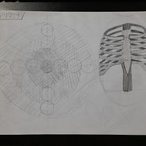 Meu projeto do curso: Desenho anatômico para principiantes Ein Projekt aus dem Bereich Bildende Künste, Skizzenentwurf, Bleistiftzeichnung, Zeichnung, Realistische Zeichnung und Anatomische Zeichnung von joaopedrormunzoo - 24.01.2024