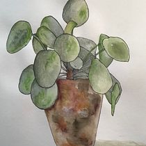 Mijn project van de cursus: Het botanische sketchbook: een meditatieve benadering. Ilustração tradicional, Esboçado, Desenho, Pintura em aquarela, Ilustração botânica, e Sketchbook projeto de Vicki - 24.01.2024